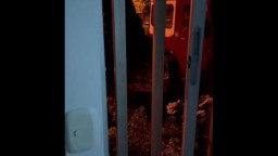 Kathrin Gets Fucked In The Ass